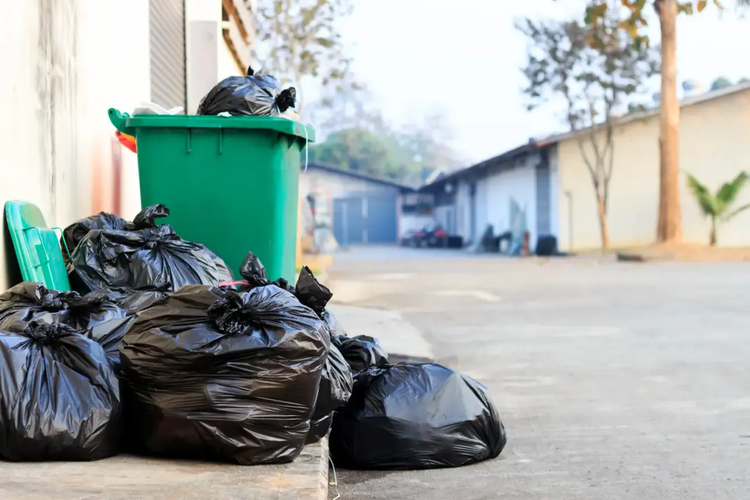 Domestic Waste Removal Saltash