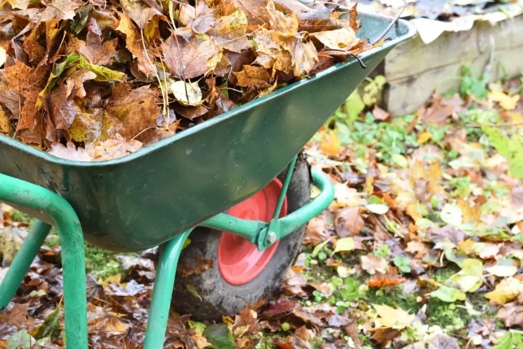 Get a Free Clearance Quote Torpoint